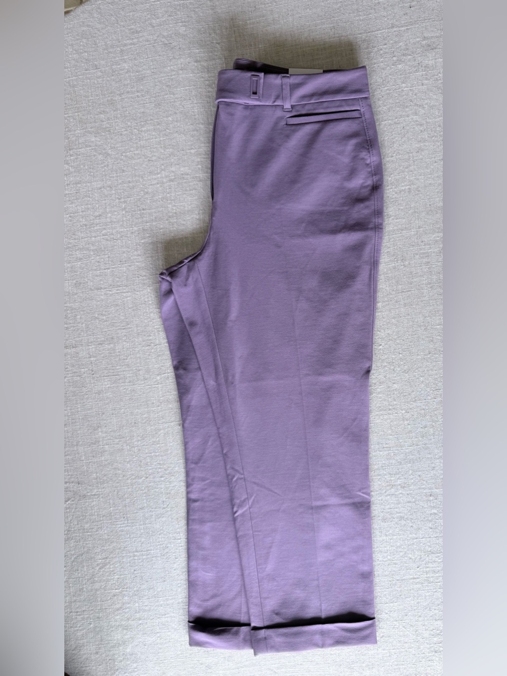 WHBM The Slim Crop Greek Iris Purple Pants Size 10 NWT Stretch